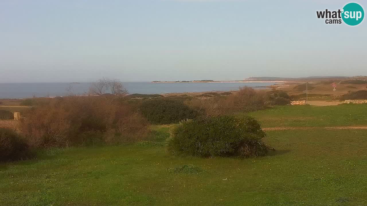 Plage Mari Ermi | Is Arutas – Oristano