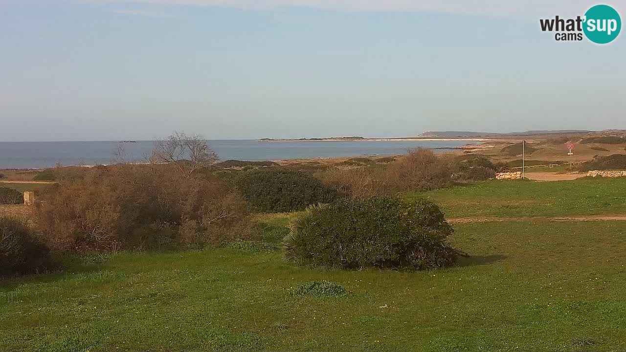 Mari Ermi Strand | Is Arutas – Oristano