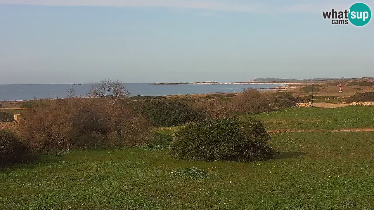 Plage Mari Ermi | Is Arutas – Oristano