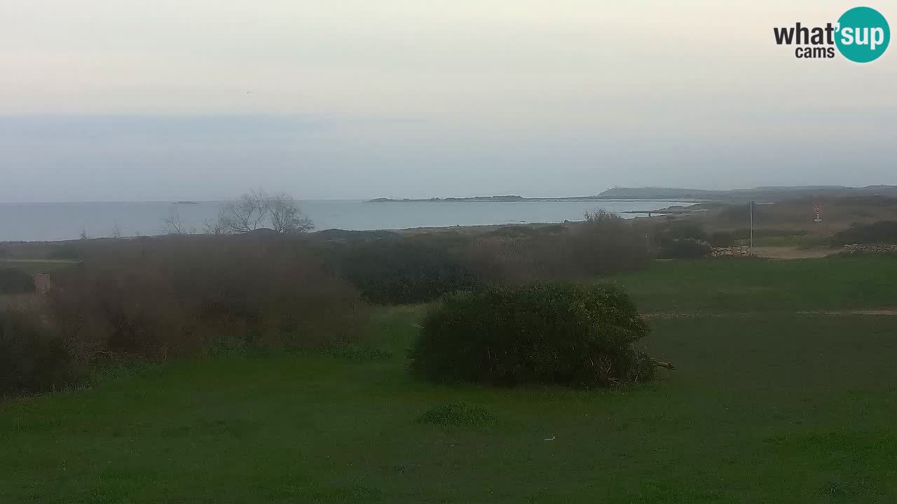 Plage Mari Ermi | Is Arutas – Oristano