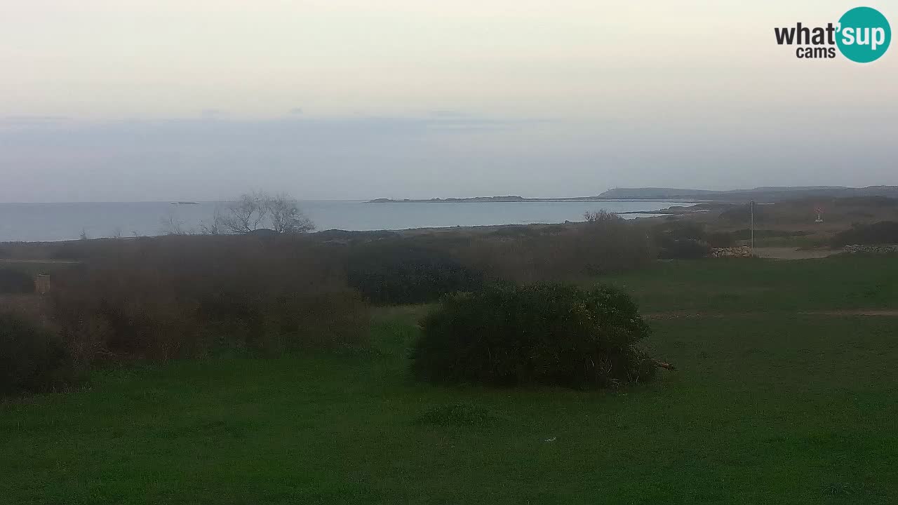 Mari Ermi Strand | Is Arutas – Oristano