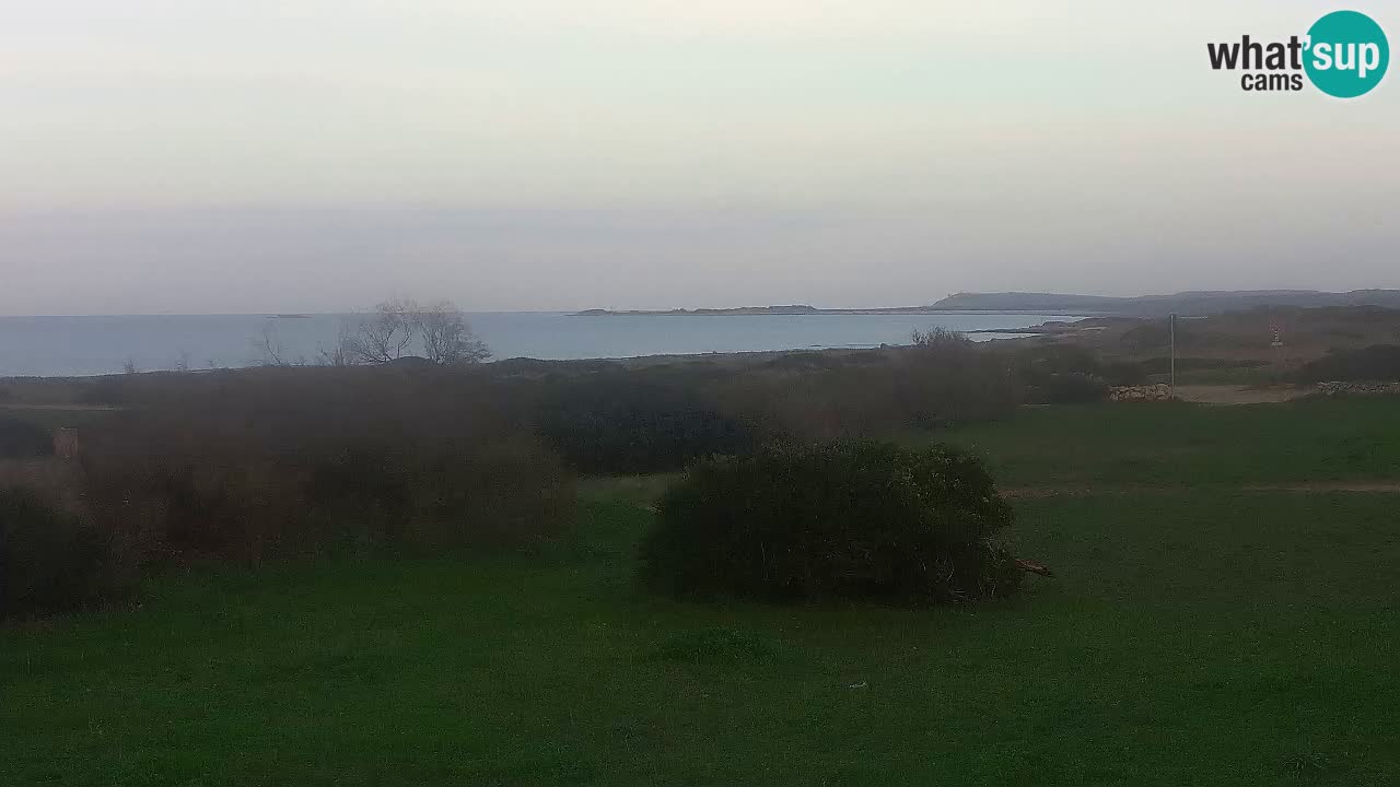 Plaža Mari Ermi | Is Arutas – Oristano