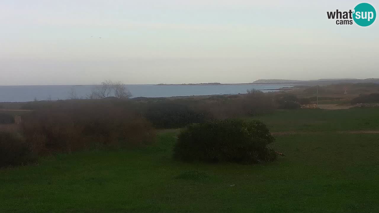 Mari Ermi beach | Is Arutas – Oristano