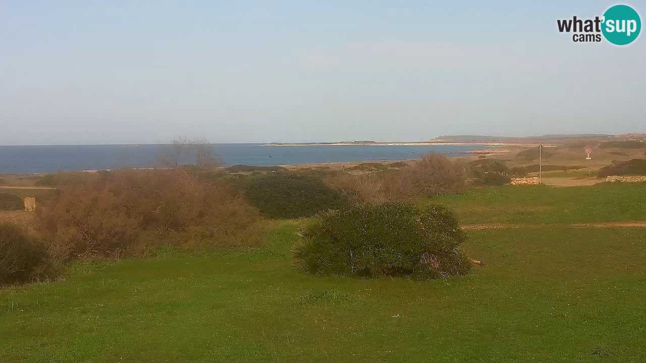 Mari Ermi Strand | Is Arutas – Oristano