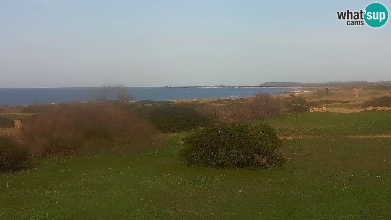 Mari Ermi Strand | Is Arutas – Oristano