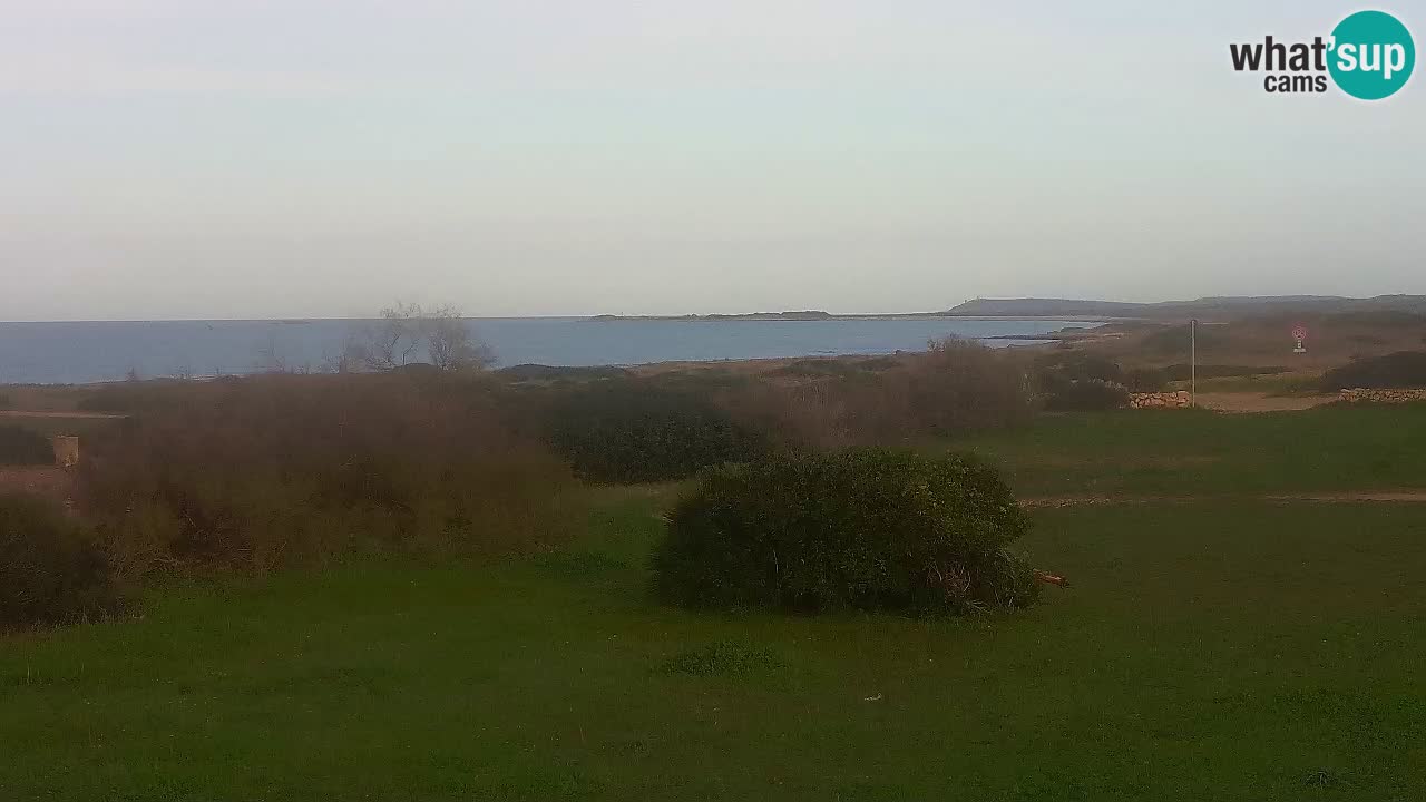 Plaža Mari Ermi | Is Arutas – Oristano