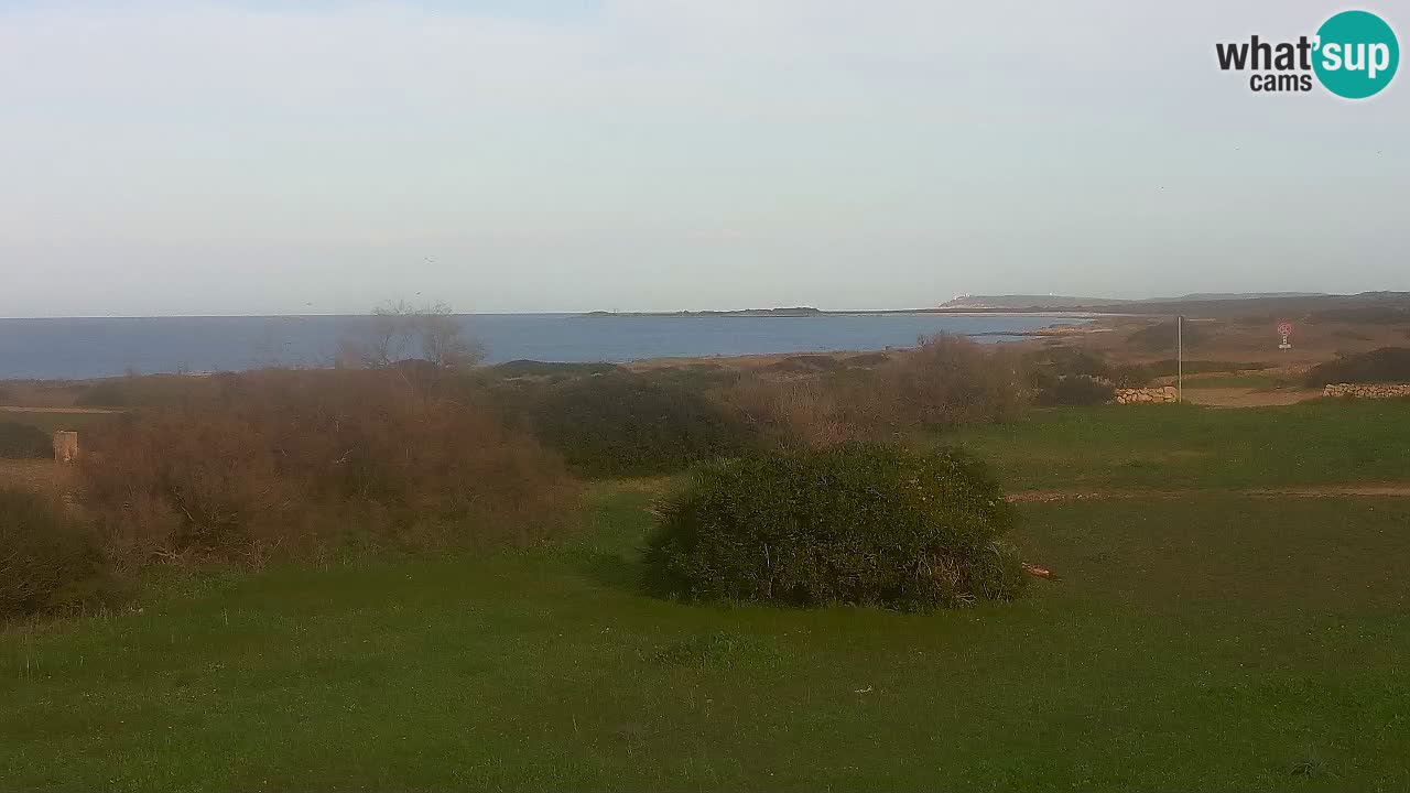 Plage Mari Ermi | Is Arutas – Oristano