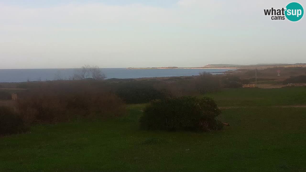 Playa Mari Ermi | Is Arutas – Oristano