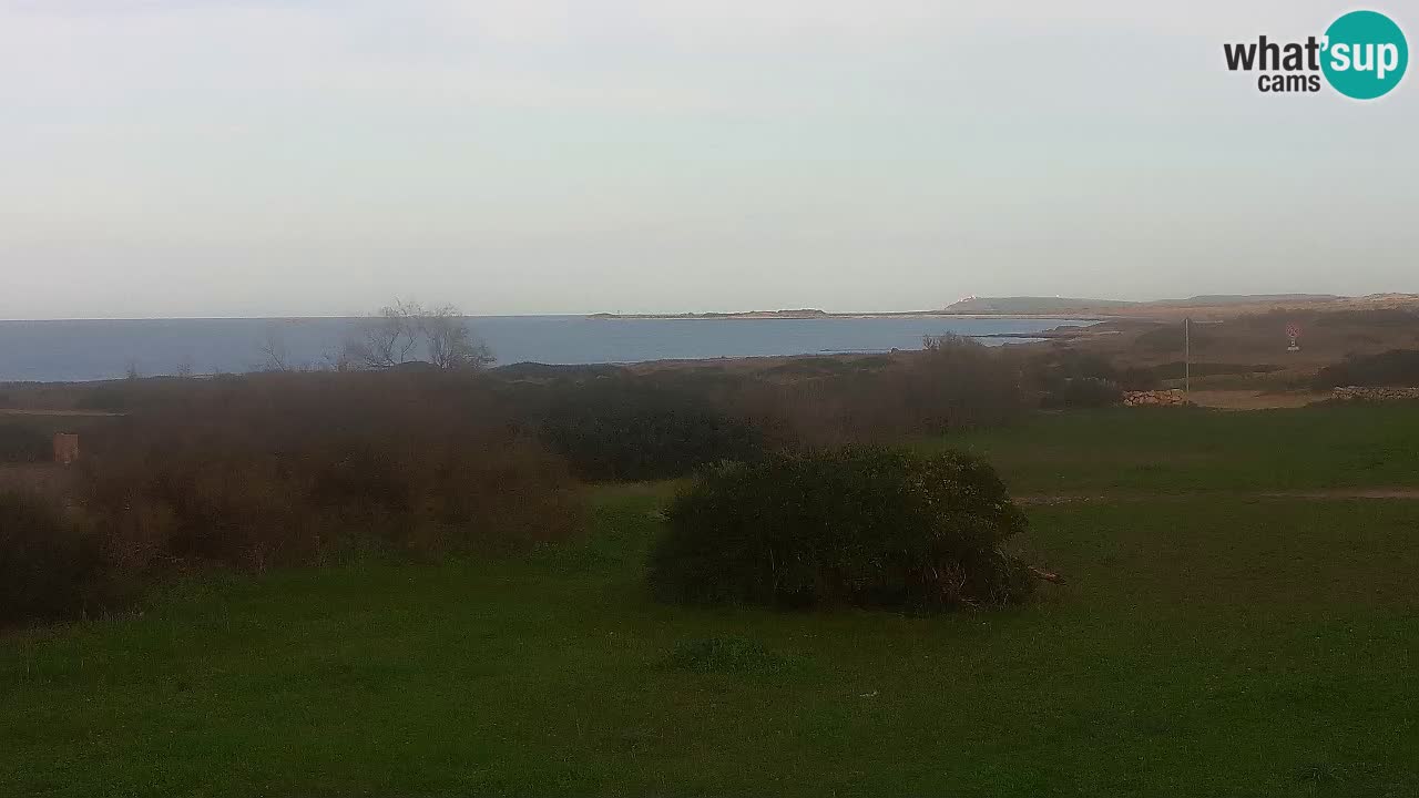 Plaža Mari Ermi | Is Arutas – Oristano