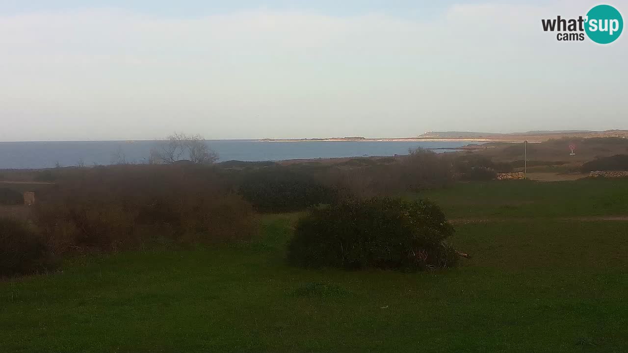 Playa Mari Ermi | Is Arutas – Oristano