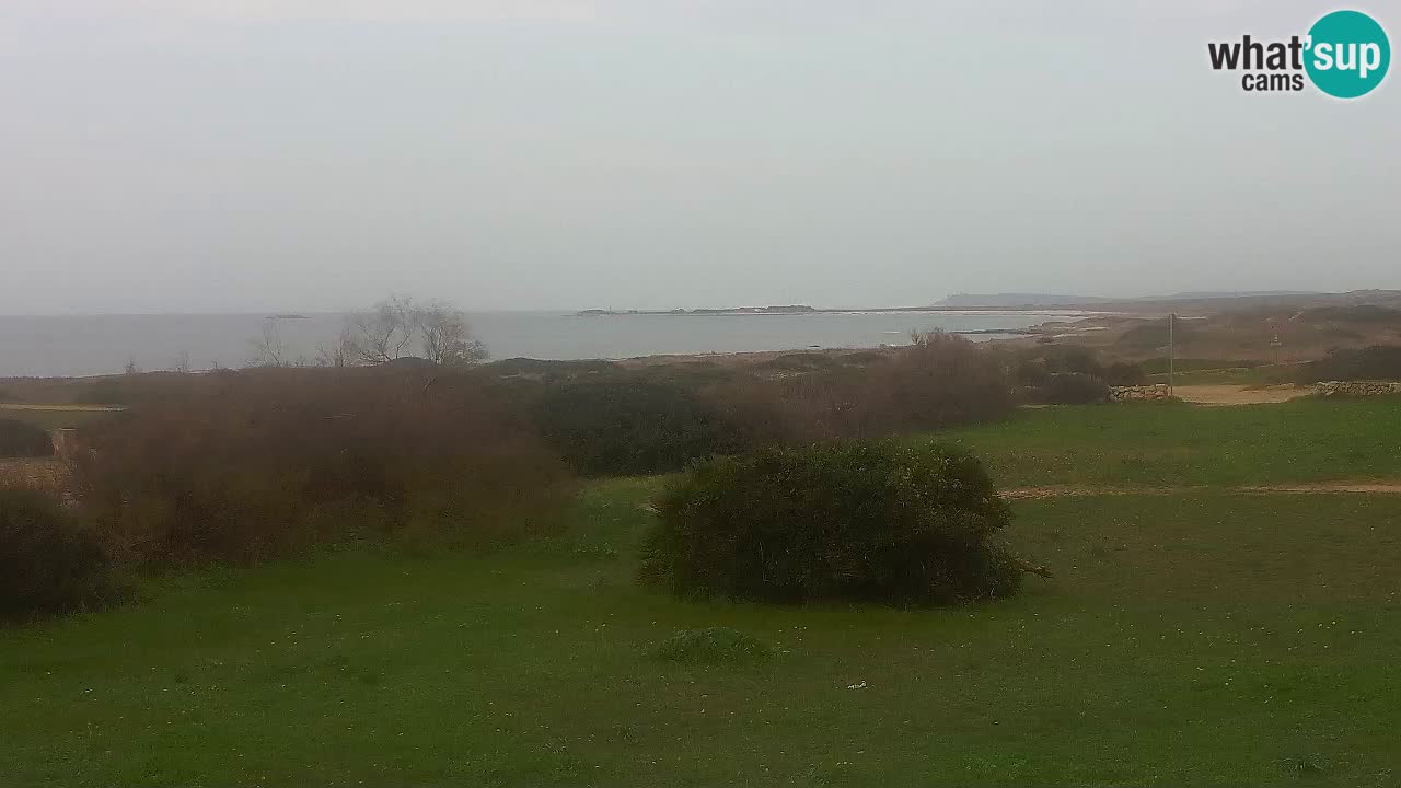 Mari Ermi beach | Is Arutas – Oristano