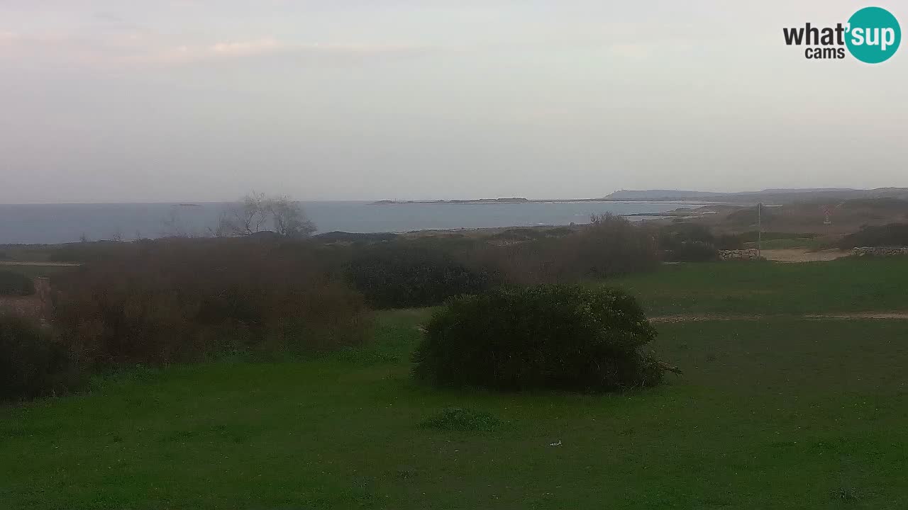 Mari Ermi Strand | Is Arutas – Oristano