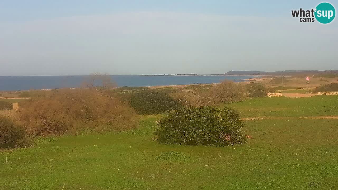 Plage Mari Ermi | Is Arutas – Oristano