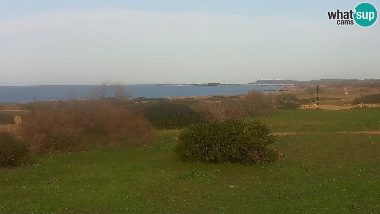 Playa Mari Ermi | Is Arutas – Oristano