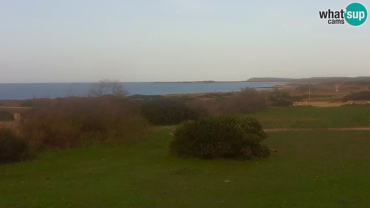 Plaža Mari Ermi | Is Arutas – Oristano