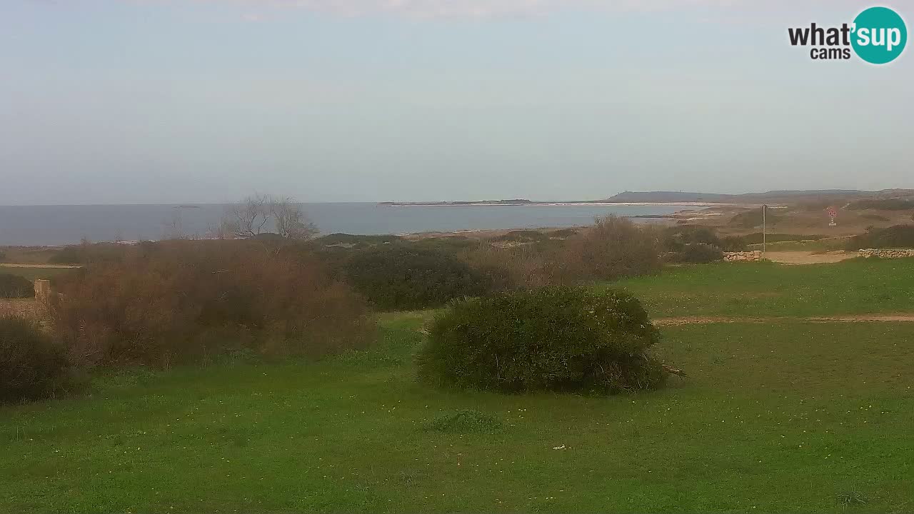 Plage Mari Ermi | Is Arutas – Oristano