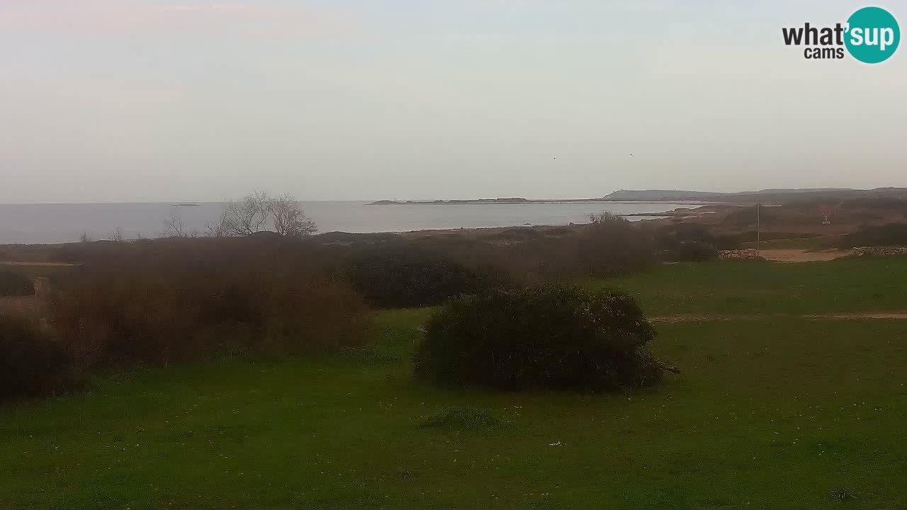 Mari Ermi Strand | Is Arutas – Oristano