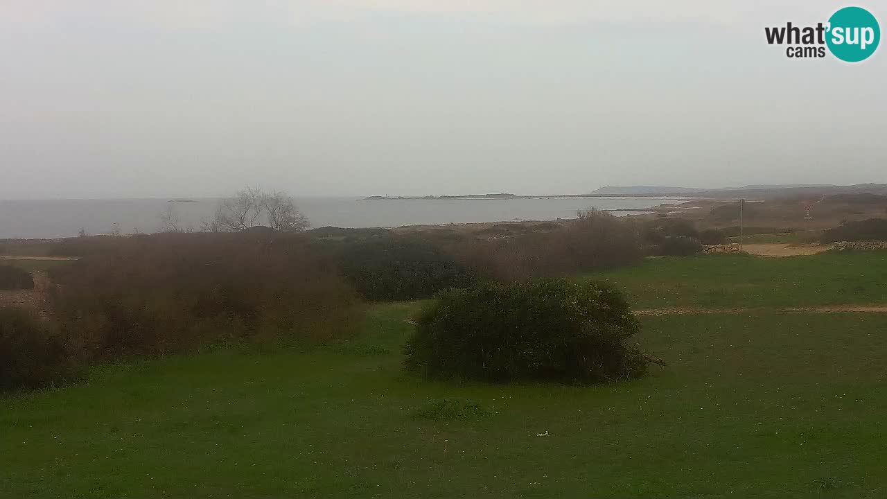 Mari Ermi beach | Is Arutas – Oristano