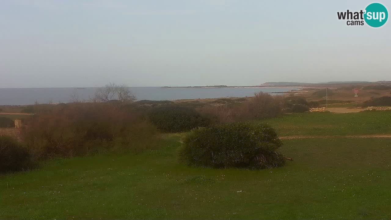 Plage Mari Ermi | Is Arutas – Oristano