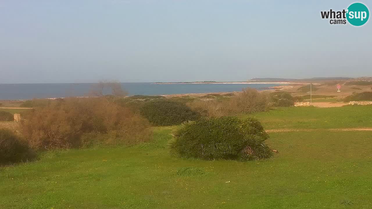 Spiaggia Mari Ermi | Is Arutas – Oristano