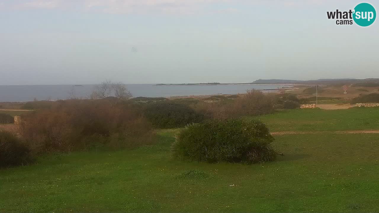 Plaža Mari Ermi | Is Arutas – Oristano