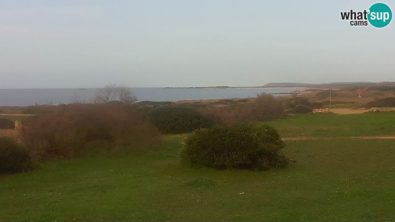 Plaža Mari Ermi | Is Arutas – Oristano