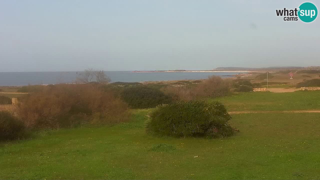 Plaža Mari Ermi | Is Arutas – Oristano