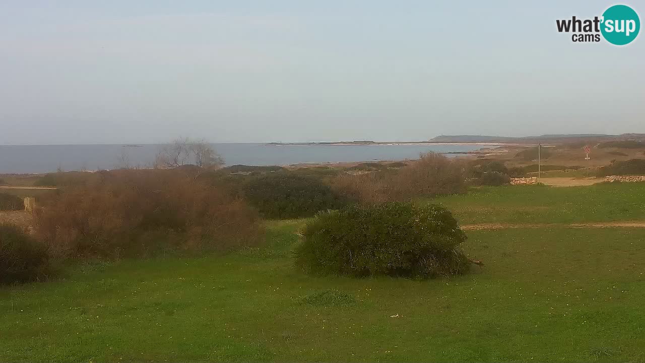 Playa Mari Ermi | Is Arutas – Oristano