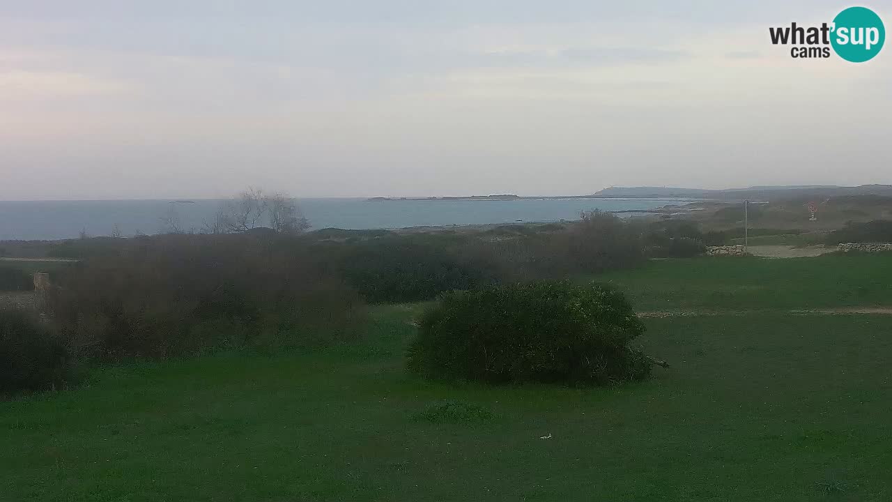 Plage Mari Ermi | Is Arutas – Oristano