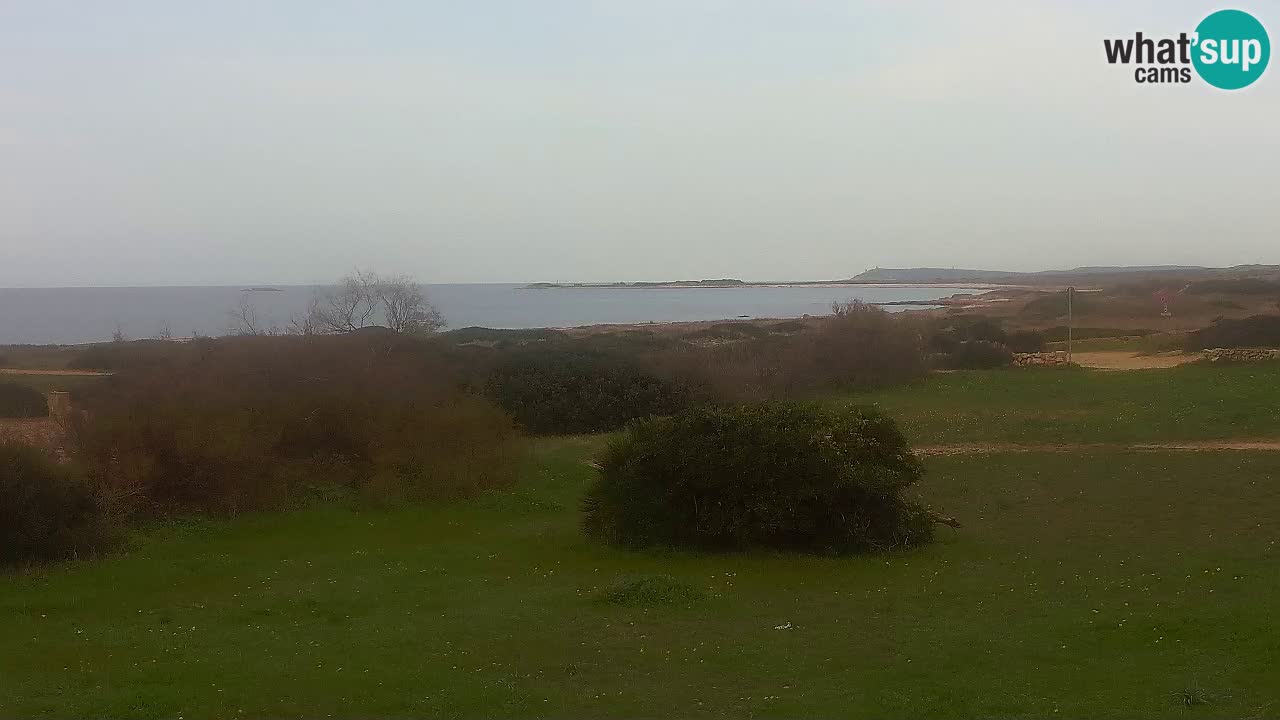 Playa Mari Ermi | Is Arutas – Oristano