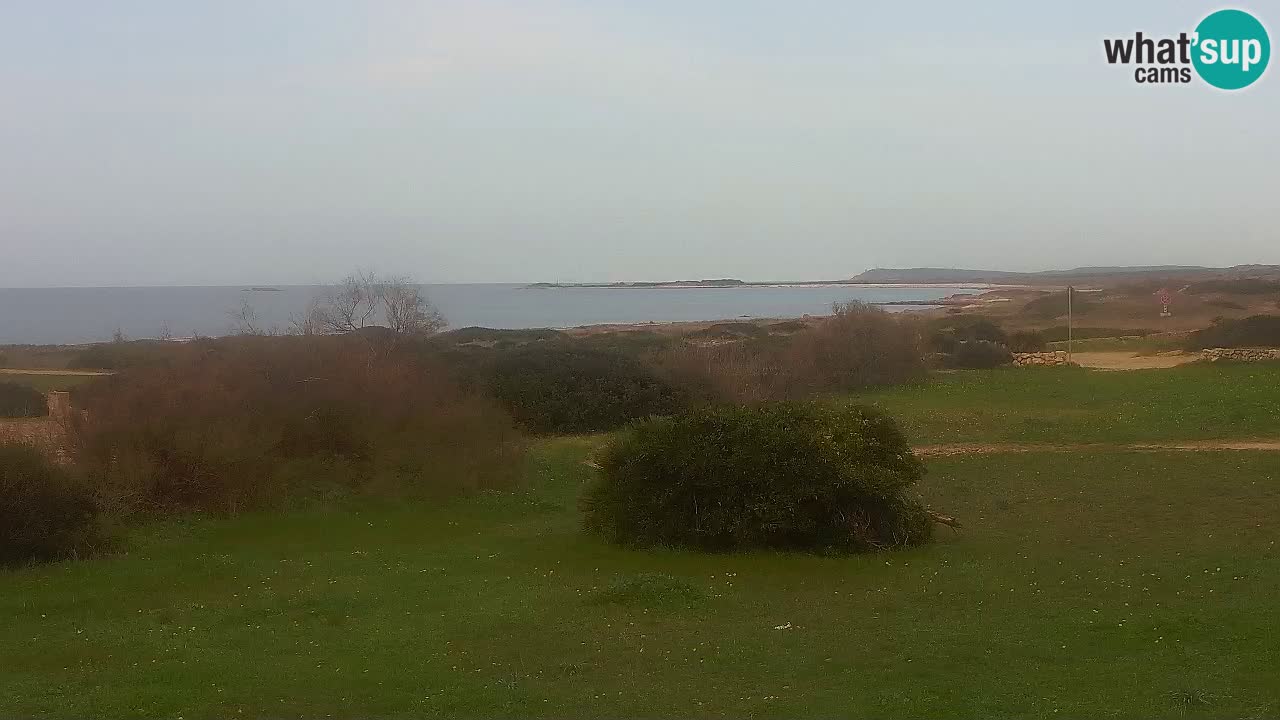 Plaža Mari Ermi | Is Arutas – Oristano