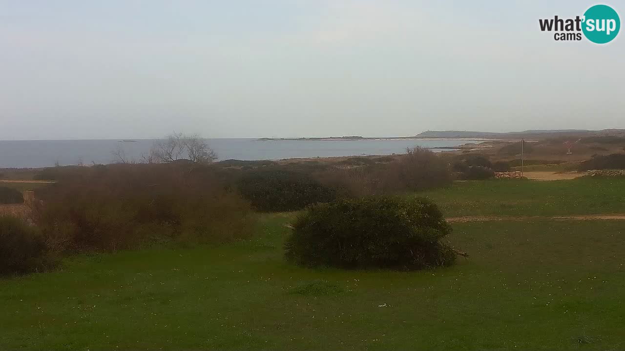 Plage Mari Ermi | Is Arutas – Oristano