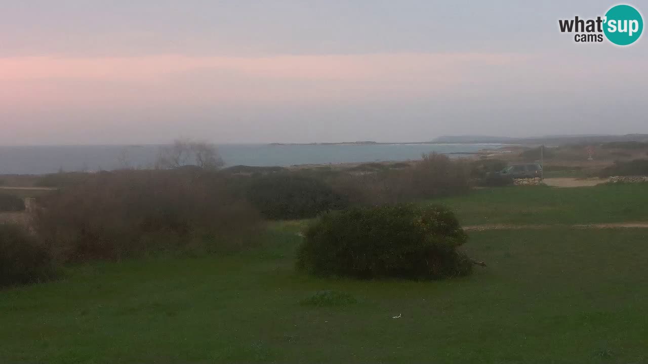 Mari Ermi Strand | Is Arutas – Oristano