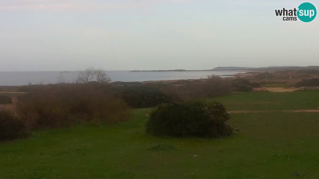 Plage Mari Ermi | Is Arutas – Oristano