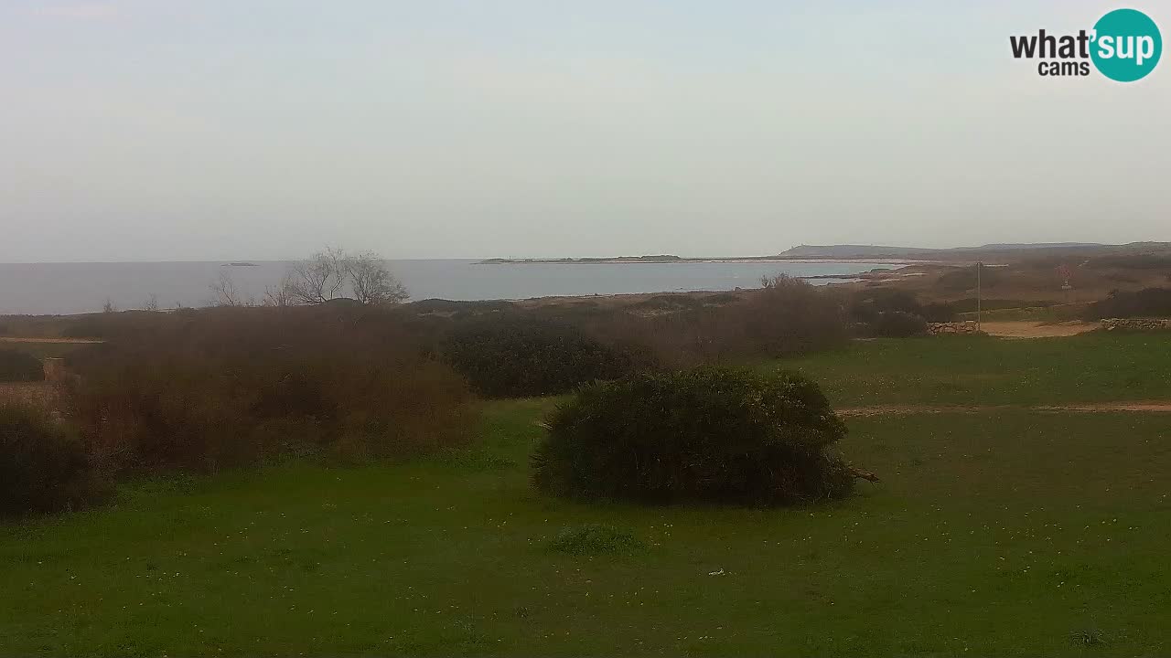 Plaža Mari Ermi | Is Arutas – Oristano