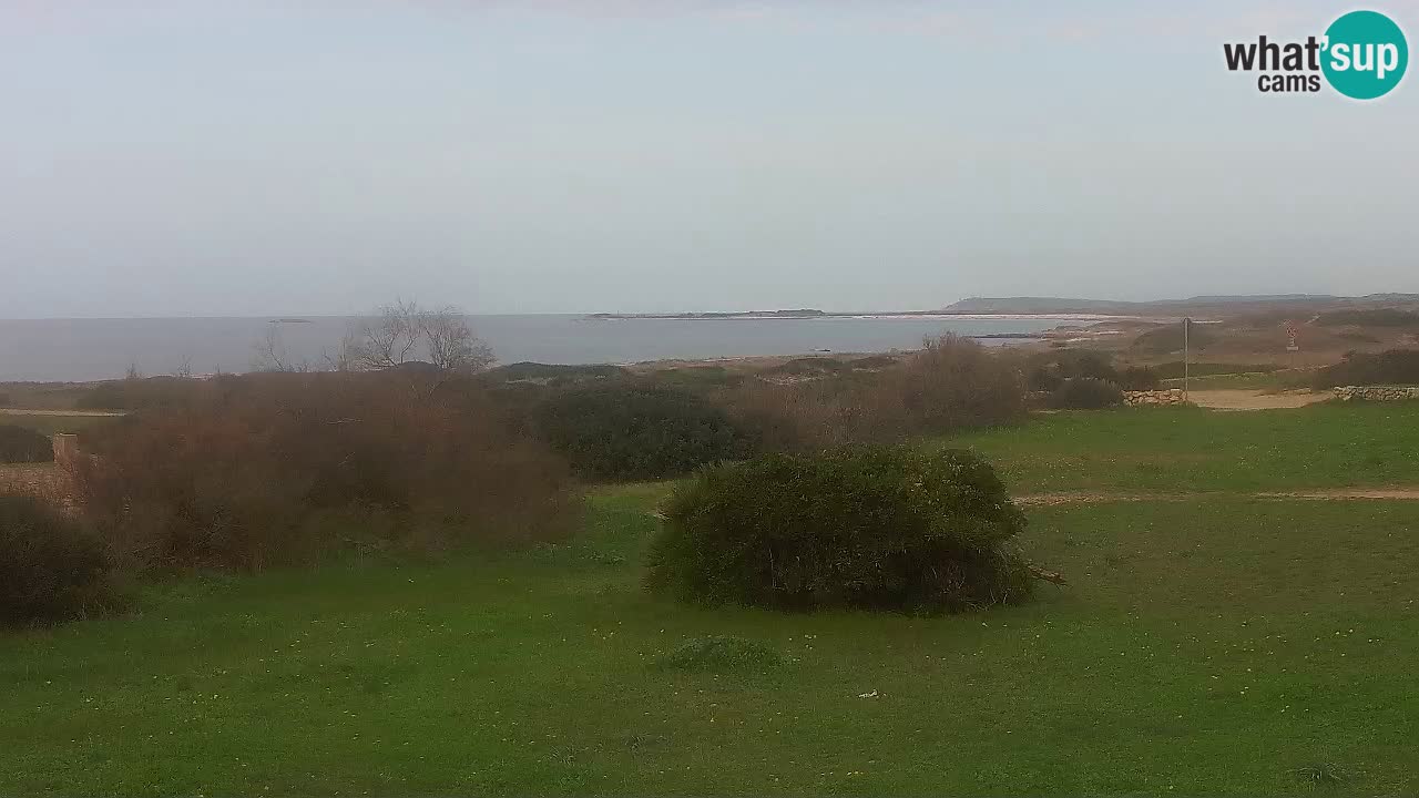 Mari Ermi beach | Is Arutas – Oristano