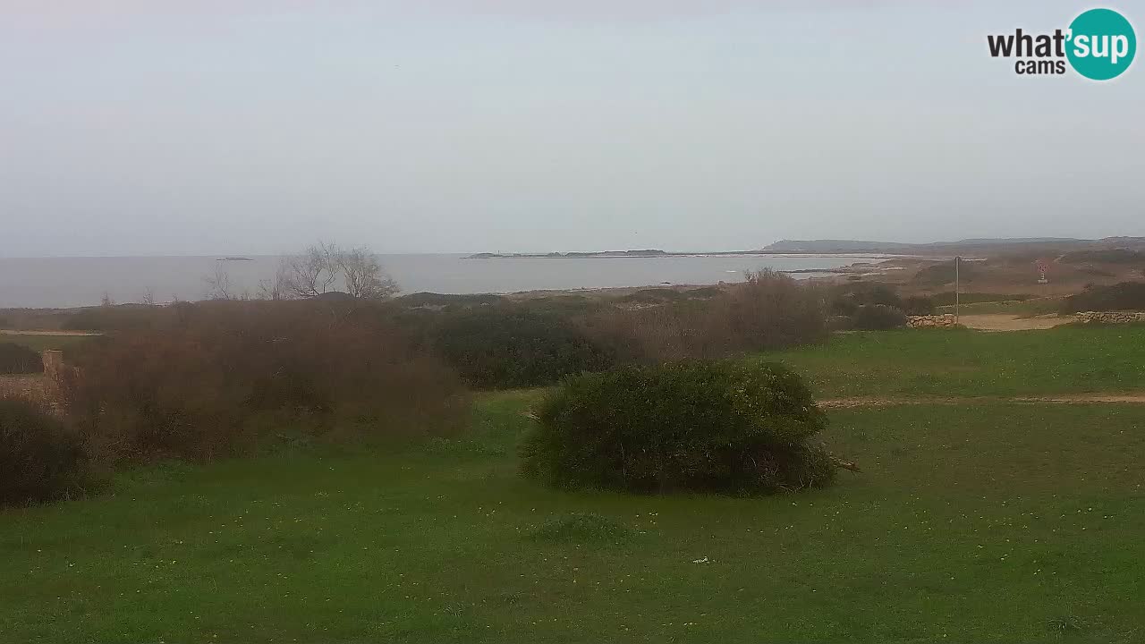 Mari Ermi beach | Is Arutas – Oristano