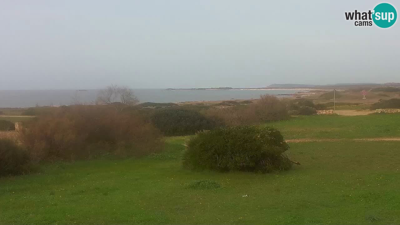 Playa Mari Ermi | Is Arutas – Oristano