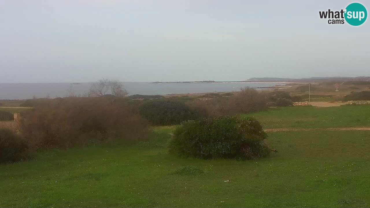 Mari Ermi beach | Is Arutas – Oristano