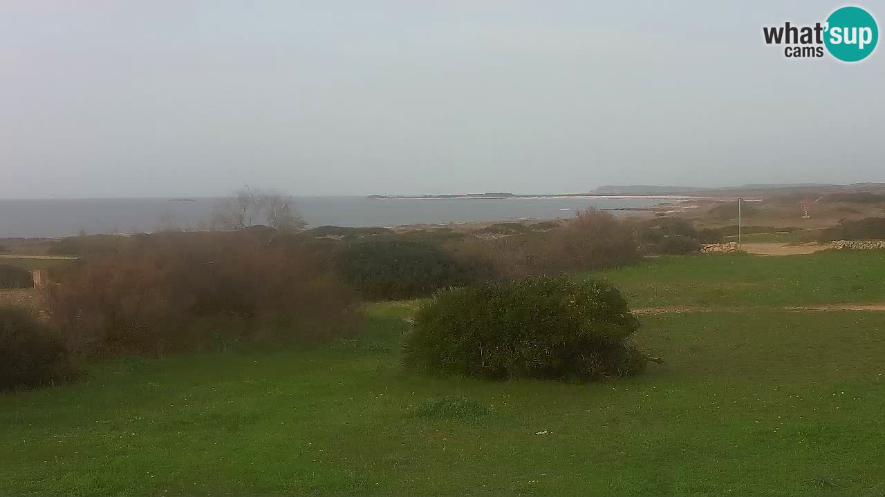 Mari Ermi Strand | Is Arutas – Oristano