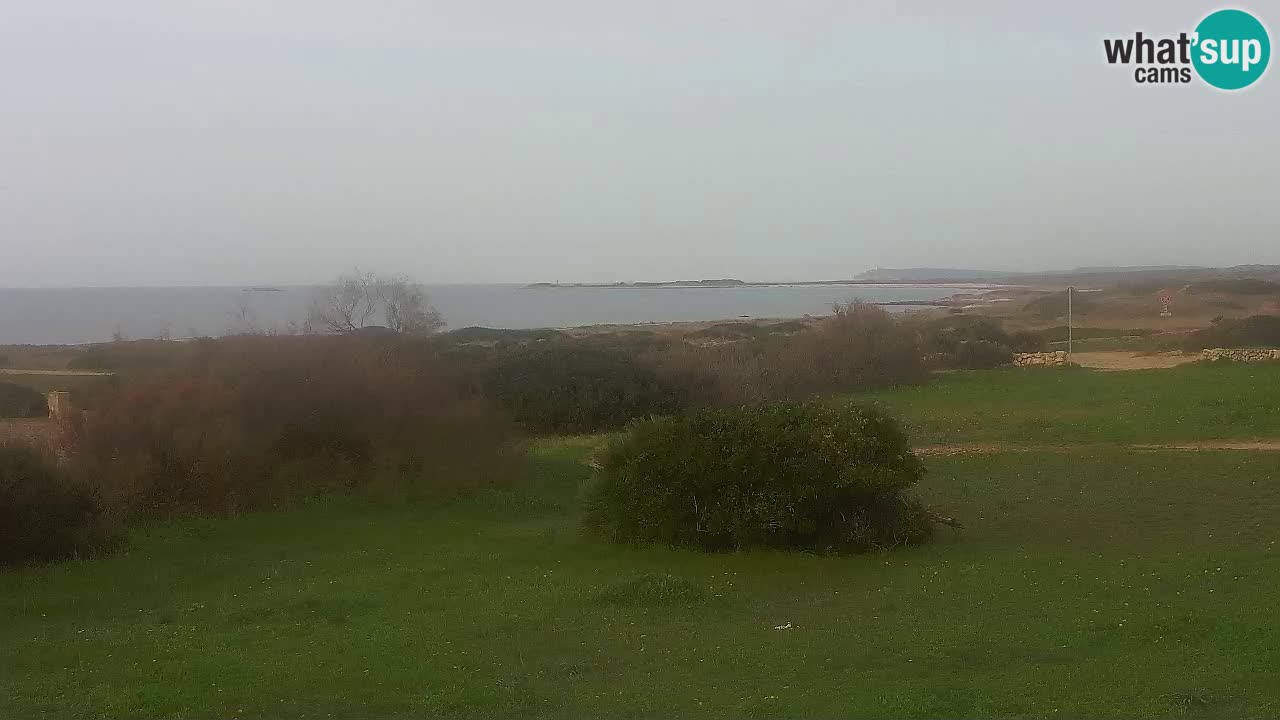 Plage Mari Ermi | Is Arutas – Oristano