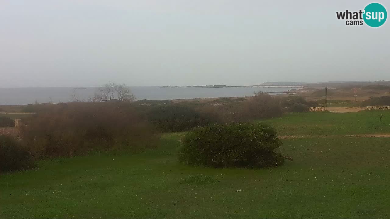 Playa Mari Ermi | Is Arutas – Oristano