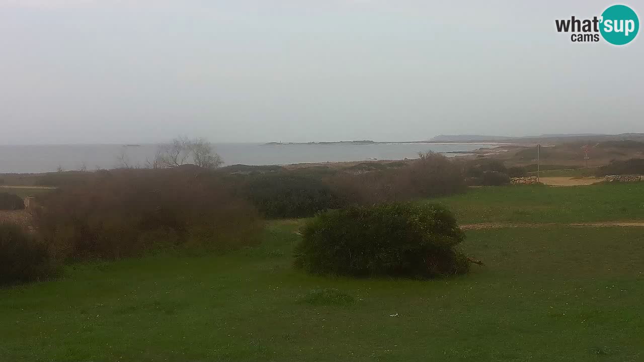 Plage Mari Ermi | Is Arutas – Oristano