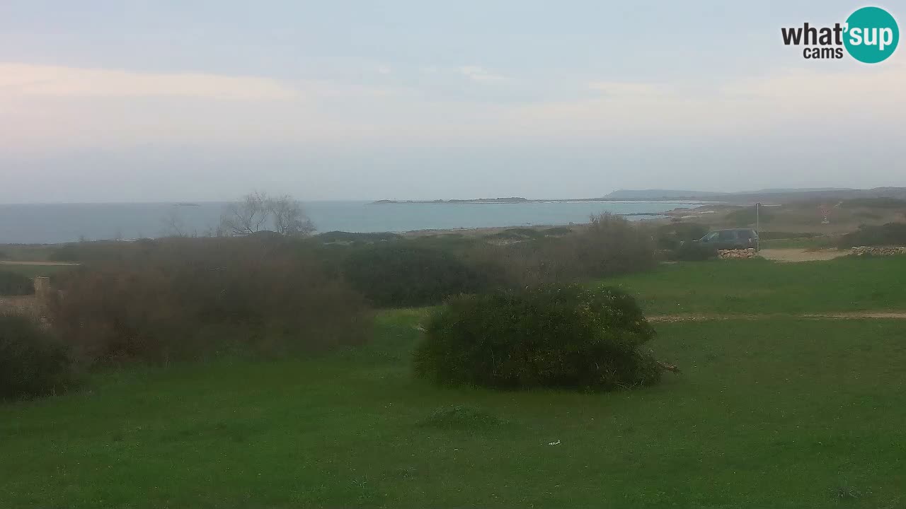 Plaža Mari Ermi | Is Arutas – Oristano