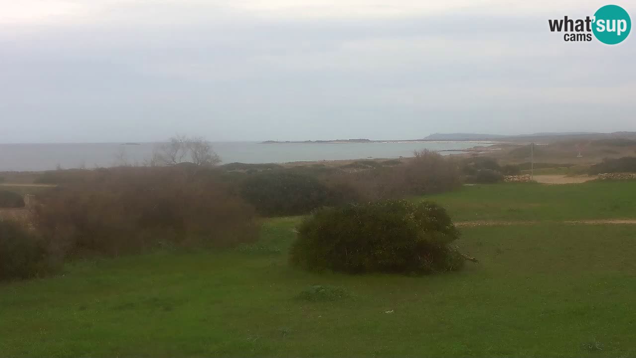 Mari Ermi beach | Is Arutas – Oristano