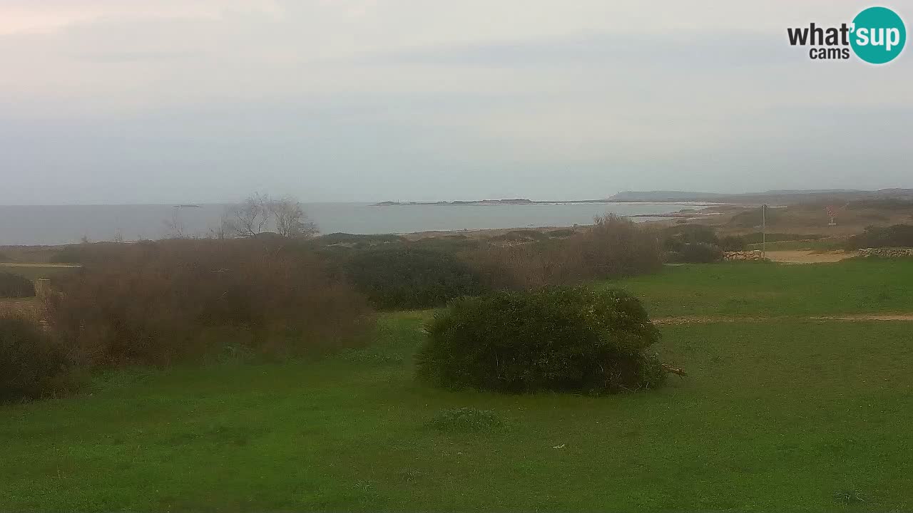 Mari Ermi beach | Is Arutas – Oristano