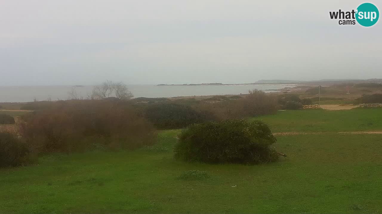 Plaža Mari Ermi | Is Arutas – Oristano