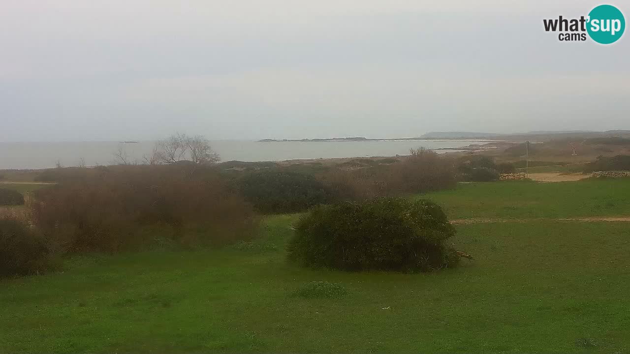 Plaža Mari Ermi | Is Arutas – Oristano