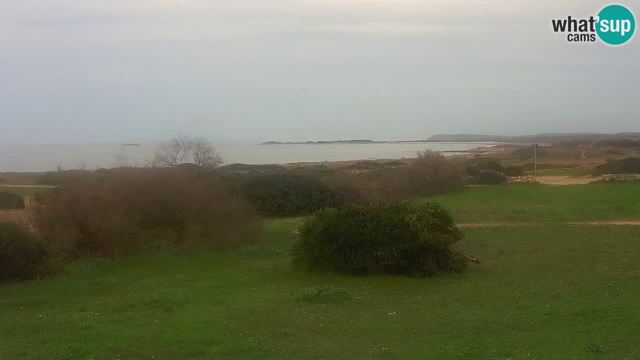 Plaža Mari Ermi | Is Arutas – Oristano