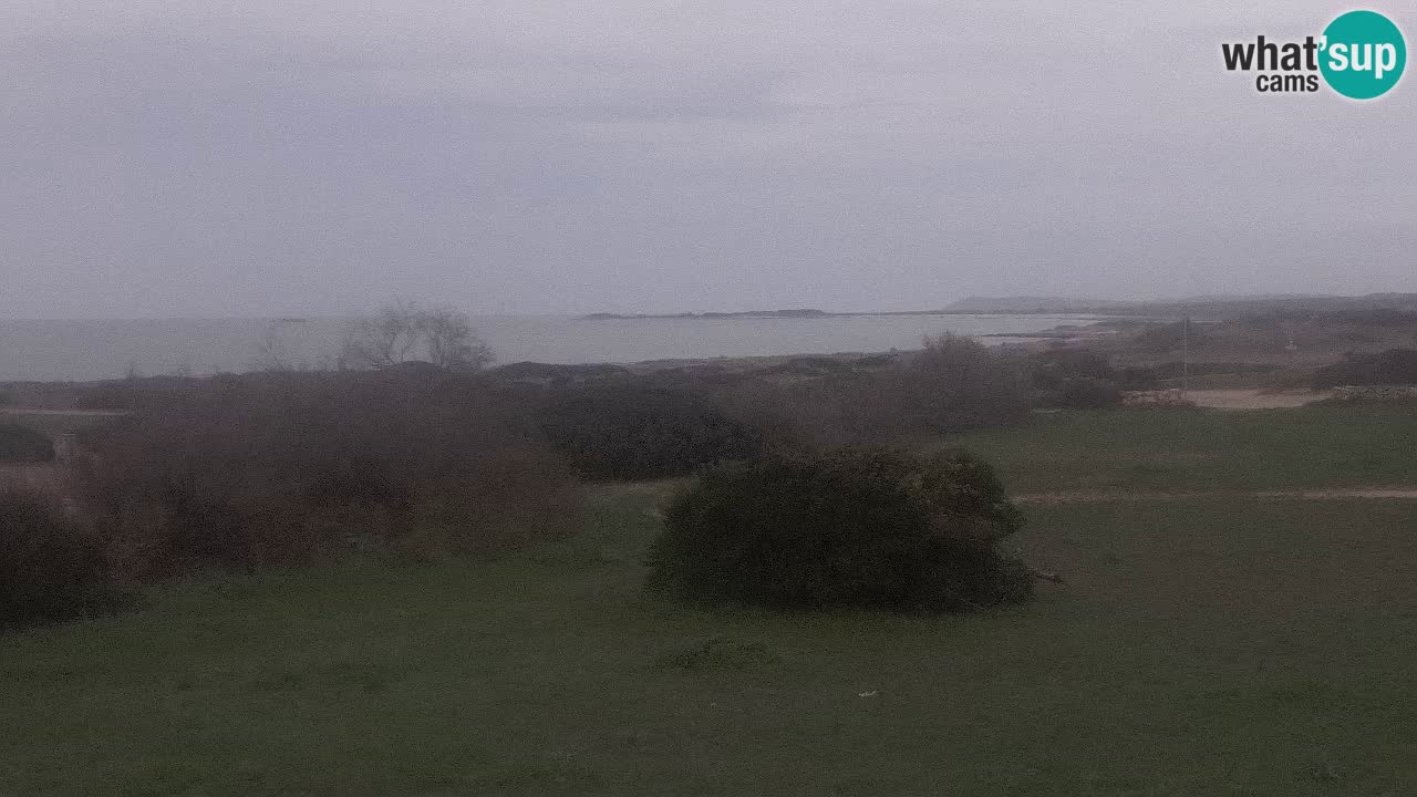 Plaža Mari Ermi | Is Arutas – Oristano